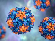 New Yorkers Warned of Possible Community Spread of Polio