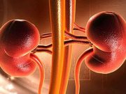 Serum Aldosterone Concentration Linked to CKD Progression