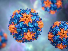 Poliovirus Discovered in NYC Wastewater