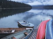 ‘Brain-Eating Amoeba’ May Have Caused Nebraska Child’s Death