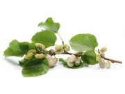 Wife of California Congressman Died After Using Herbal Remedy