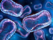 Infections Reported After Single Dose of Monkeypox Vaccine