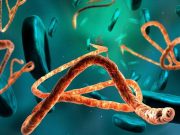 U.S. to Screen Travelers From Uganda for Ebola Amid Outbreak in That Country