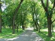 Natural Environments May Cut Hospitalization for Patients With Neurodegenerative Diseases