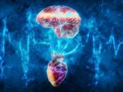 Premature Cardiovascular Disease Linked to Lower Cognition