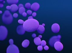 Recent Years Have Seen Candida Auris Cases, Transmission Increase