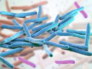 Leprosy on the Rise in Florida