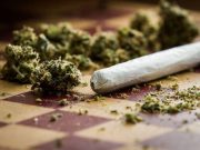 Marijuana Users Have Higher Metal Levels in Blood, Urine