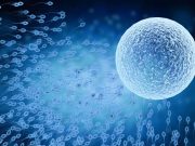 Doctors’ Group Expands Definition of ‘Infertility’