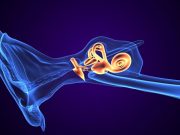 Nonvisualization of the Endolymphatic Duct, Sac Common in Meniere Disease