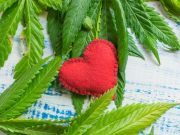 AHA: Daily Marijuana Use Linked to Incident Heart Failure