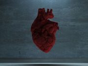 Levothyroxine Infusion Does Not Increase Heart Transplants Versus Saline Infusion