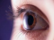 Retinal Photographs Viable for Autism Spectrum Disorder Screening
