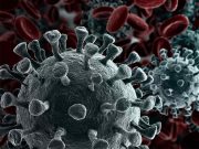 COVID-19 Pandemic at a Tipping Point: WHO