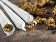 FDA Says Marijuana Should Be Reclassified as Less Risky Drug