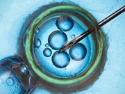 Use of Cryopreserved Oocytes Increased With Poor Ovarian Response