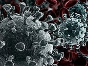 Prolonged SARS-CoV-2 Risk Varies Across Immunosuppressive Conditions