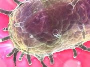 Oregon Man Struck by Bubonic Plague Likely Got It From Pet Cat