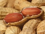Expanded Use of Xolair to Treat Food Allergies Approved by the FDA
