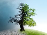 Recommendations Address Impact of Climate Change on Child Health