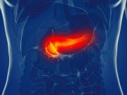 Higher Pancreatic Fat Percentage Linked to Lower Cognition in Men