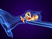 Endolymphatic Hydrops Asymmetry Can Distinguish Meniere Patients From Controls