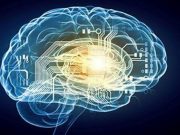 ASA: Vagus Nerve Stimulation + Rehab Boosts Arm, Hand Function in Stroke Survivors