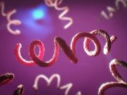 2016 to 2022 Saw Increase in Rate of Maternal Syphilis