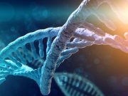 Increased Morbidity Risks Seen for Male, Female p.C282Y Homozygotes