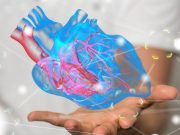 Timing of Pubertal Development Tied to Adult Cardiometabolic Risk