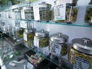 Recreational Marijuana Laws Tied to Increase in Workplace Injuries