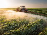 AAN: Three Pesticides Linked to Risk for Parkinson Disease