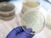 Regional Decolonization Aids Multidrug-Resistant Organism-Related Outcomes