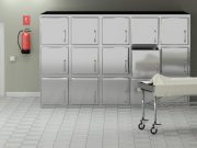 Midlife Mortality Higher in U.S. Than Other High-Income Countries