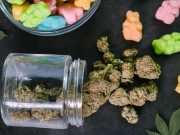 Prenatal Cannabis Use Disorder Increases Risk for Neurodevelopmental Disorders