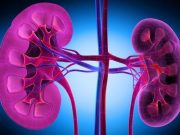 Risk Prediction Model Accurate for Chronic Kidney Disease