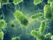 Salmonella Linked to Trader Joe’s Fresh Basil Sickens 12