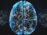 Structured Seizure Action Plan Beneficial for Adults With Epilepsy