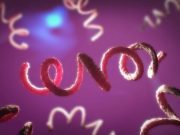 Doctors Seeing More Atypical, Severe Symptoms in Patients With Syphilis