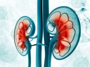 CKD Progression Risk Up With Increasing Albuminuria in Normal Range