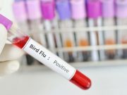 USDA, HHS Announce New Measures to Monitor, Prevent Bird Flu
