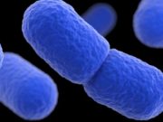 Salmonella Risk Prompts Recall of Cream Cheese From ALDI, Hy-Vee Stores