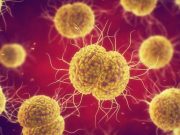 Recommended Treatment for STIs More Likely in Public Versus Private Health Care Settings