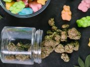 Pediatric Resource Use Less Likely With Legalization of Recreational Cannabis
