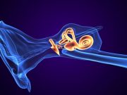 Multifrequency Tympanometry Could Aid Diagnosis of Meniere Disease