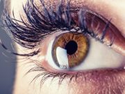 ENDO: Teprotumumab Shows Long-Term Efficacy for Thyroid Eye Disease