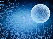 ENDO: Novel Male Contraceptive Gel May Achieve Faster Sperm Suppression