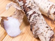 Xylitol Linked to Incident Major Adverse Cardiovascular Event Risk