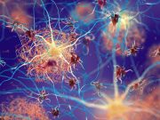 Self-, Partner-Reported Cognitive Decline Linked to Tau