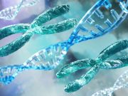 Study Quantifies Risk for Gastric, Breast Cancer for Germline CDH1 P/LP Variants